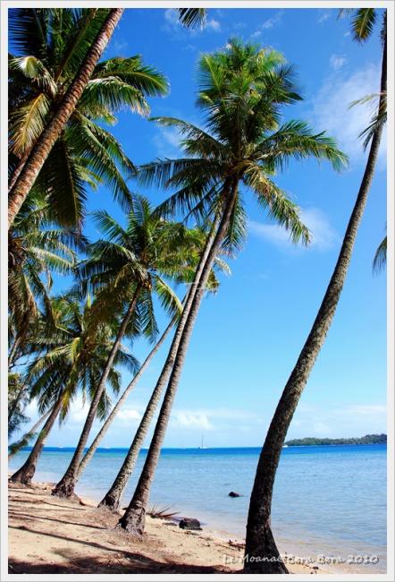 LeMoana097.JPG
